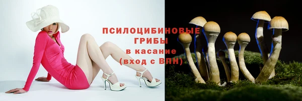 СК Абаза